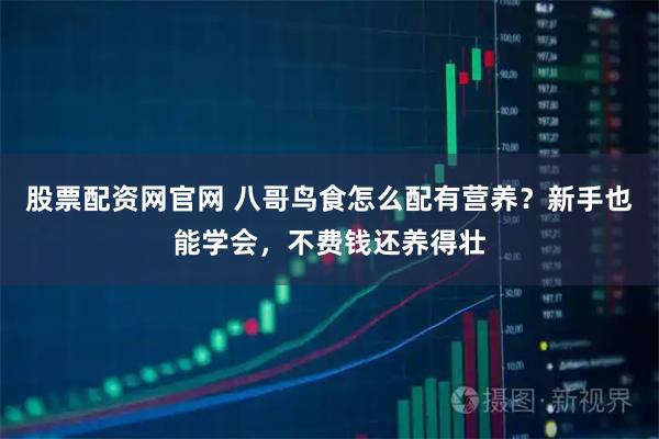 股票配资网官网 八哥鸟食怎么配有营养？新手也能学会，不费钱还养得壮