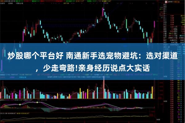 炒股哪个平台好 南通新手选宠物避坑：选对渠道，少走弯路!亲身经历说点大实话