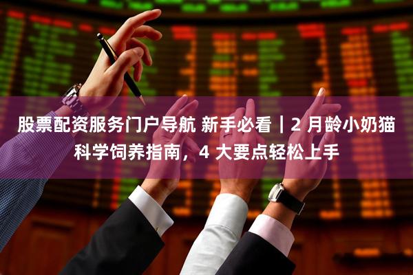 股票配资服务门户导航 新手必看｜2 月龄小奶猫科学饲养指南，4 大要点轻松上手